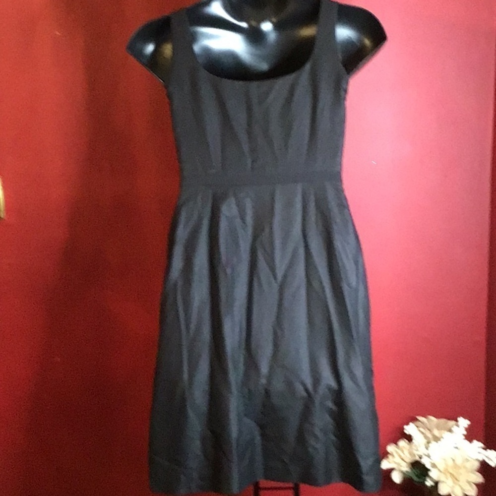 ANN TAYLOR SILK PETITES DRESS SIZE 4P - Picture 3 of 5